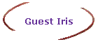 Guest Iris