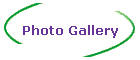 Photo Gallery